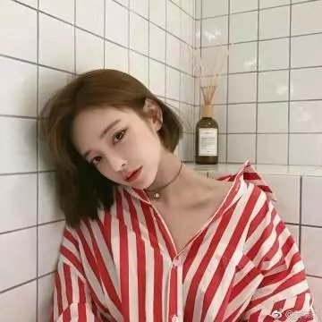 看狗在说话