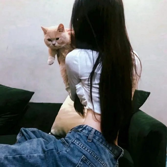 精灵鼠小弟3
